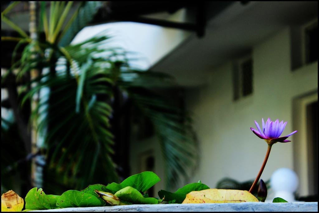 Mount Villa Dehiwala-Mount Lavinia Esterno foto